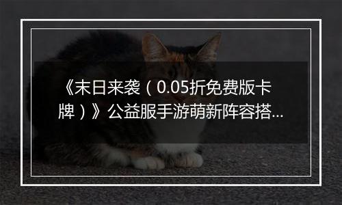 《末日来袭（0.05折免费版卡牌）》公益服手游萌新阵容搭配思路