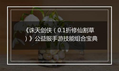 《诛天剑侠（0.1折修仙割草）》公益服手游技能组合宝典