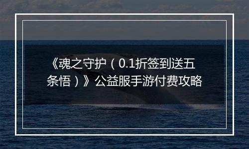 《魂之守护（0.1折签到送五条悟）》公益服手游付费攻略