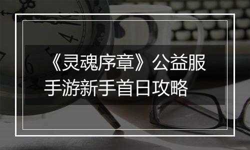 《灵魂序章》公益服手游新手首日攻略