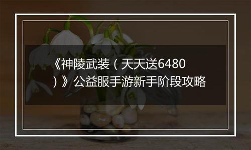 《神陵武装（天天送6480）》公益服手游新手阶段攻略