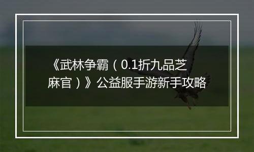 《武林争霸（0.1折九品芝麻官）》公益服手游新手攻略