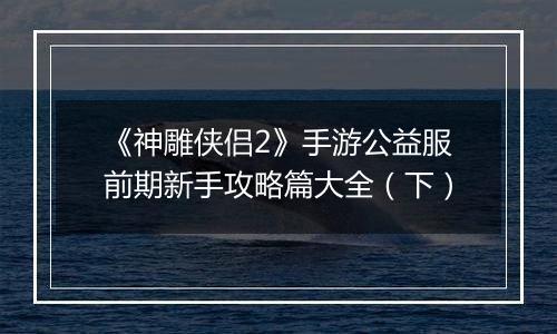 《神雕侠侣2》手游公益服前期新手攻略篇大全（下）