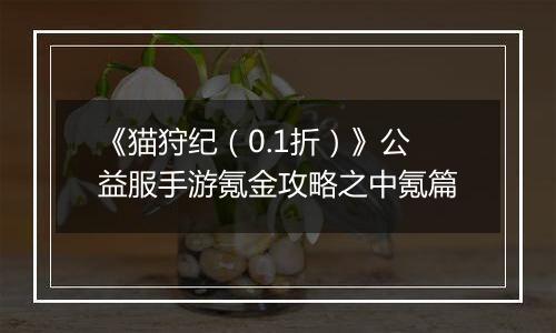 《猫狩纪（0.1折）》公益服手游氪金攻略之中氪篇