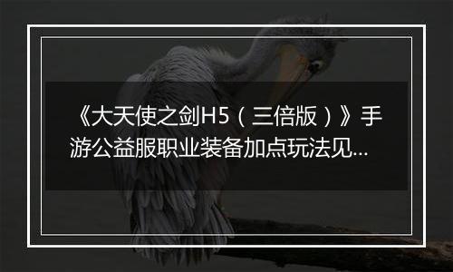 《大天使之剑H5（三倍版）》手游公益服职业装备加点玩法见解