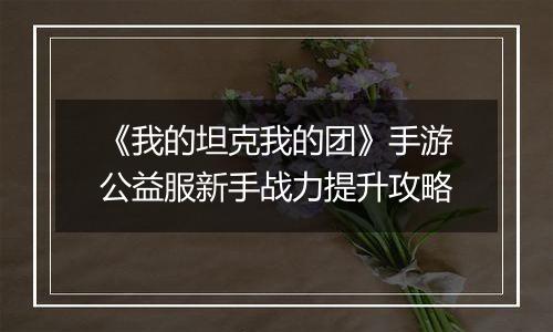 《我的坦克我的团》手游公益服新手战力提升攻略