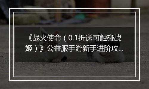 《战火使命（0.1折送可触碰战姬）》公益服手游新手进阶攻略