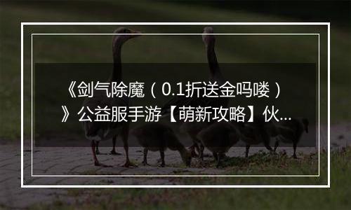 《剑气除魔（0.1折送金吗喽）》公益服手游【萌新攻略】伙伴的选择