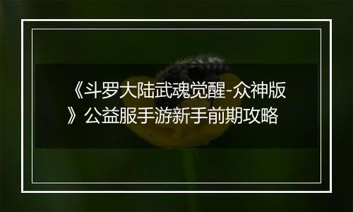《斗罗大陆武魂觉醒-众神版》公益服手游新手前期攻略