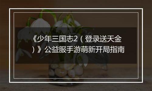 《少年三国志2（登录送天金）》公益服手游萌新开局指南