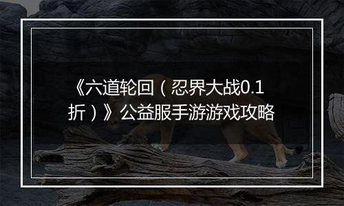 《六道轮回（忍界大战0.1折）》公益服手游游戏攻略