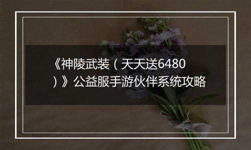 《神陵武装（天天送6480）》公益服手游伙伴系统攻略