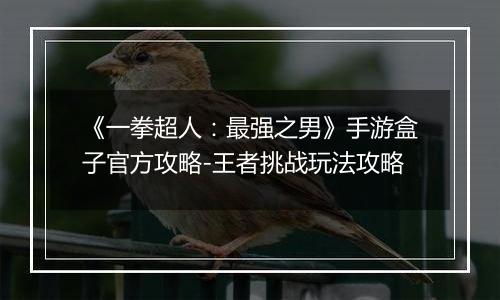 《一拳超人：最强之男》手游盒子官方攻略-王者挑战玩法攻略