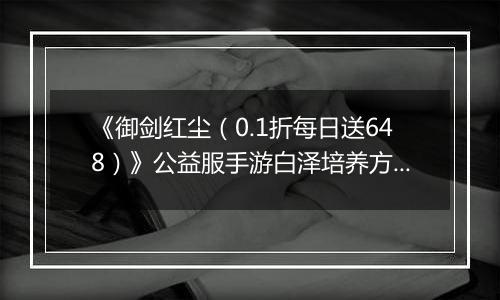 《御剑红尘（0.1折每日送648）》公益服手游白泽培养方案