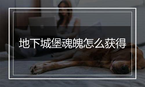 地下城堡魂魄怎么获得
