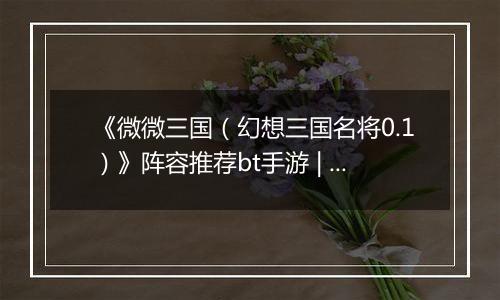 《微微三国（幻想三国名将0.1）》阵容推荐bt手游 | 新手实用阵容