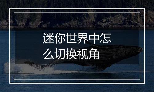 迷你世界中怎么切换视角