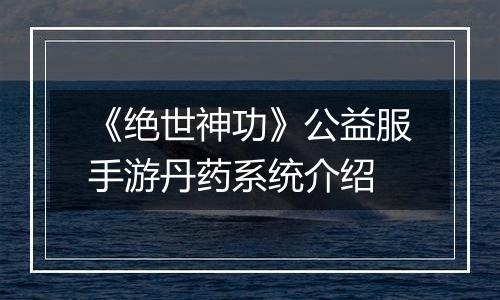 《绝世神功》公益服手游丹药系统介绍