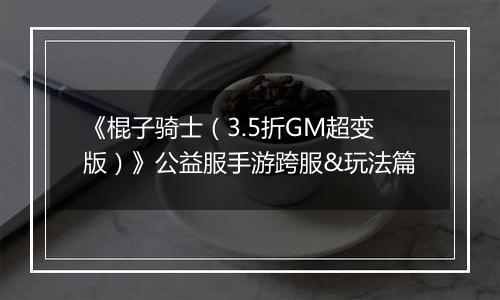 《棍子骑士（3.5折GM超变版）》公益服手游跨服&玩法篇