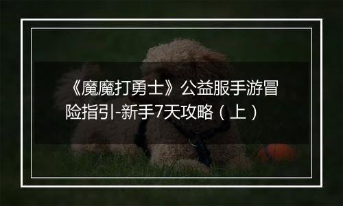 《魔魔打勇士》公益服手游冒险指引-新手7天攻略（上）