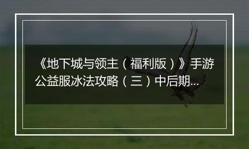 《地下城与领主（福利版）》手游公益服冰法攻略（三）中后期技能搭配
