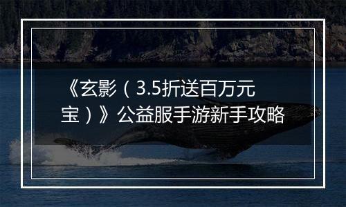 《玄影（3.5折送百万元宝）》公益服手游新手攻略