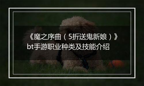 《魔之序曲（5折送鬼新娘）》bt手游职业种类及技能介绍