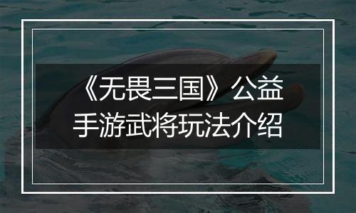 《无畏三国》公益手游武将玩法介绍