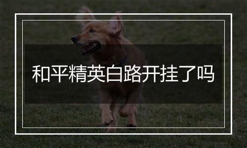和平精英白路开挂了吗