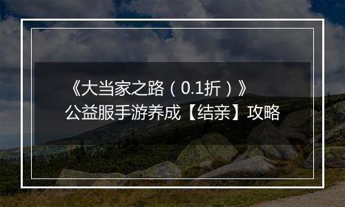 《大当家之路（0.1折）》公益服手游养成【结亲】攻略