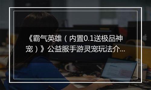 《霸气英雄（内置0.1送极品神宠）》公益服手游灵宠玩法介绍
