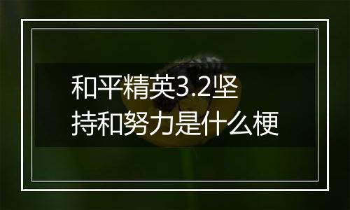 和平精英3.2坚持和努力是什么梗