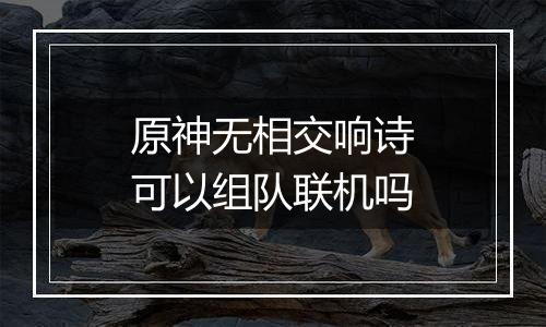 原神无相交响诗可以组队联机吗