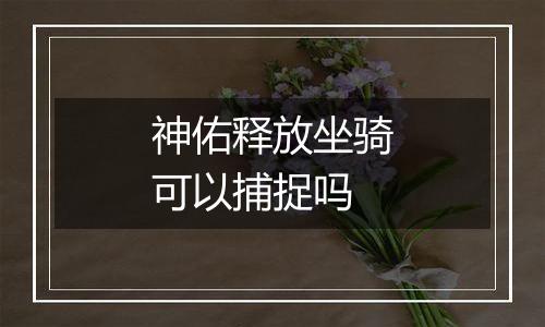 神佑释放坐骑可以捕捉吗