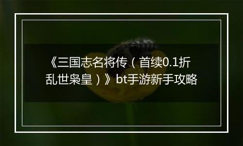 《三国志名将传（首续0.1折乱世枭皇）》bt手游新手攻略