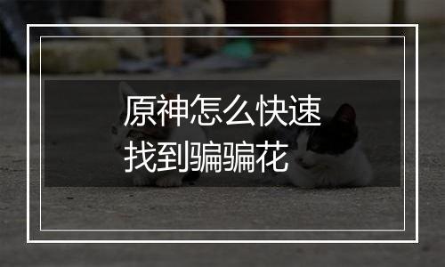 原神怎么快速找到骗骗花