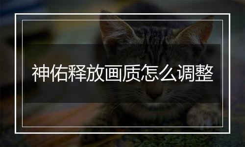 神佑释放画质怎么调整