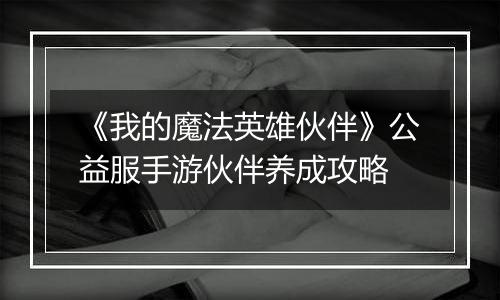 《我的魔法英雄伙伴》公益服手游伙伴养成攻略