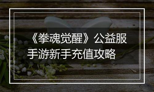 《拳魂觉醒》公益服手游新手充值攻略