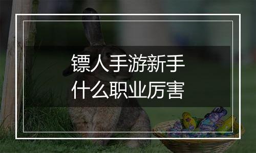 镖人手游新手什么职业厉害