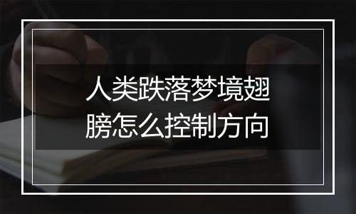 人类跌落梦境翅膀怎么控制方向