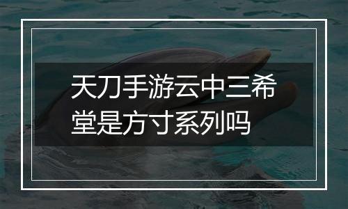 天刀手游云中三希堂是方寸系列吗
