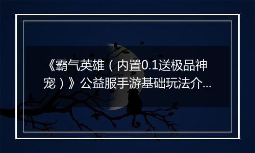 《霸气英雄（内置0.1送极品神宠）》公益服手游基础玩法介绍