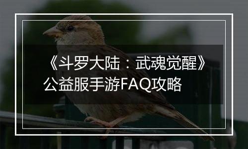 《斗罗大陆：武魂觉醒》公益服手游FAQ攻略