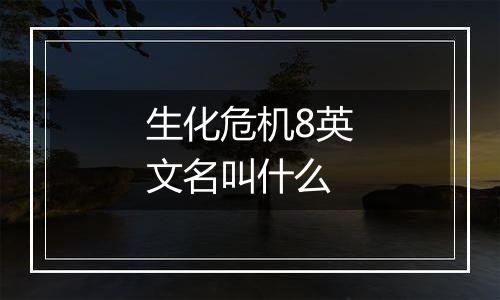 生化危机8英文名叫什么