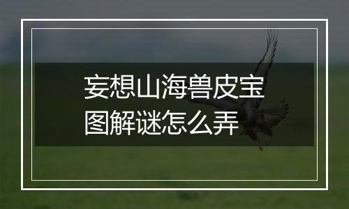 妄想山海兽皮宝图解谜怎么弄