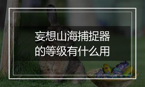妄想山海捕捉器的等级有什么用