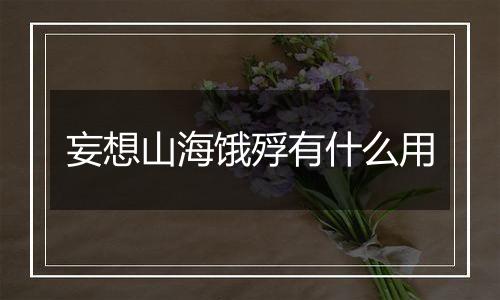 妄想山海饿殍有什么用