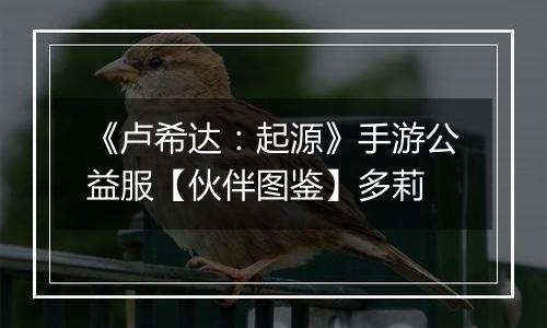 《卢希达：起源》手游公益服【伙伴图鉴】多莉