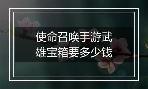 使命召唤手游武雄宝箱要多少钱